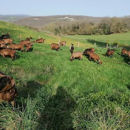 بيت للعطل Gite De Charme Dans Une Petite Ferme Bio *